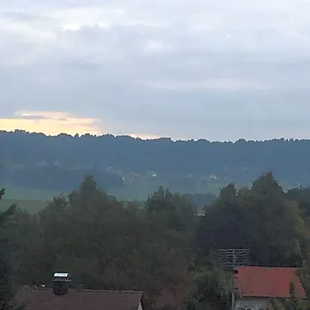 Отель Weisser Loewe 2*