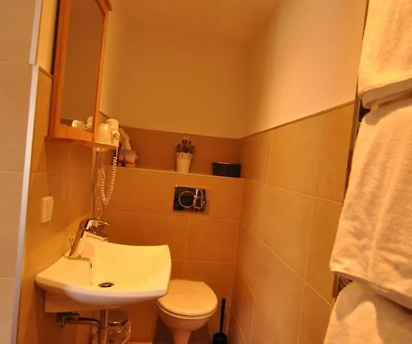 Weisser Loewe Hotel 2*
